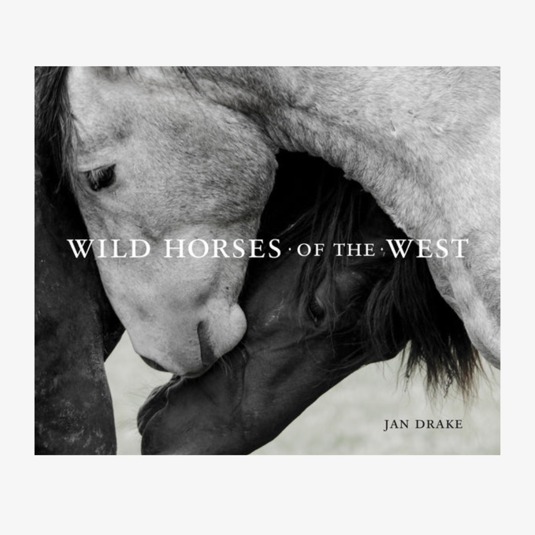 Wild Horses of the West