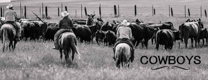 Cowboys and Rodeos by Alyn Robert Brereton