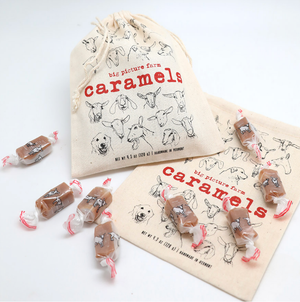 Goat Milk Caramel Satchel: Sea Salt Vanilla