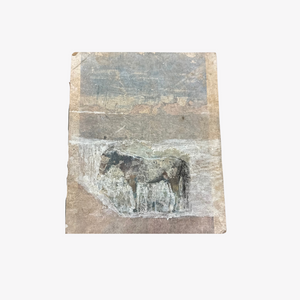 Burro on Paper No. 2 by Paul Meyer
