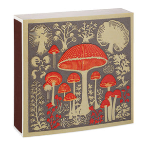 Square Mushroom Matches