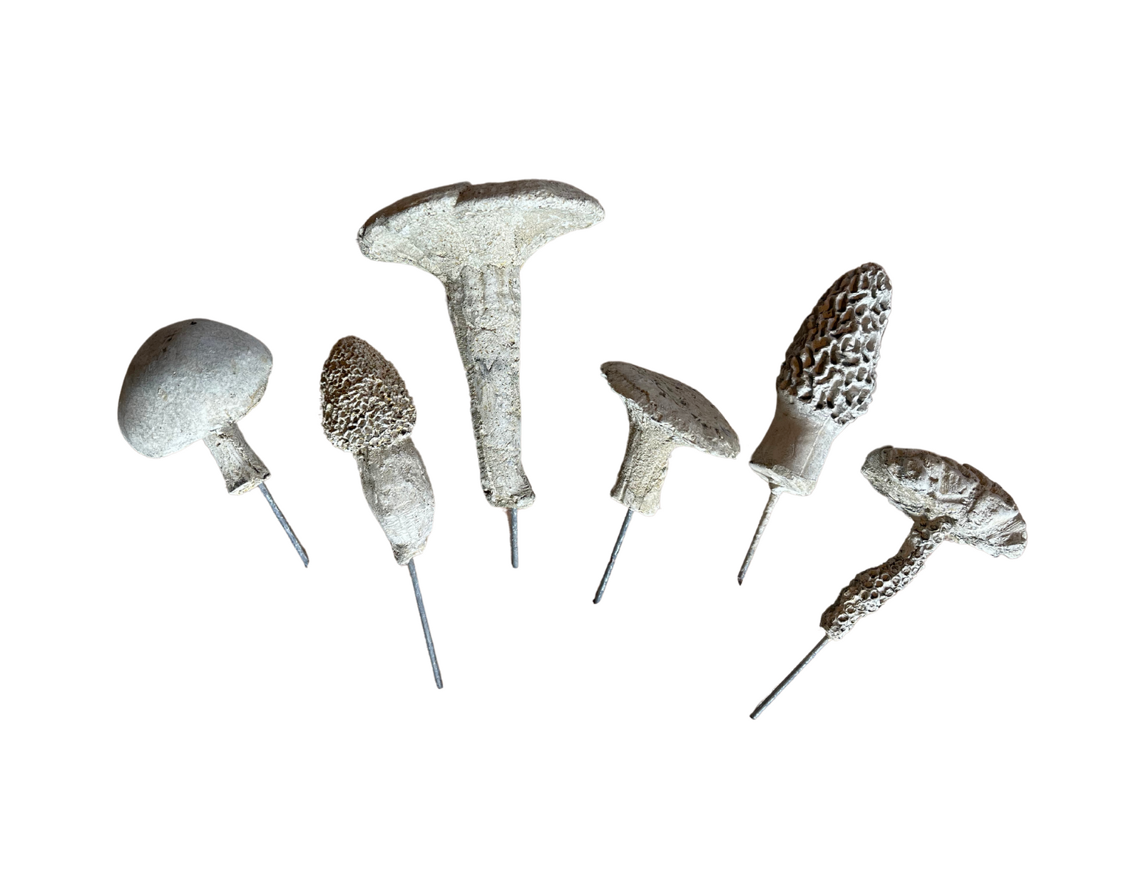 Tiny Garden Mushrooms