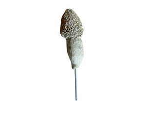 Tiny Garden Mushrooms
