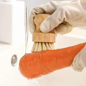 Eco-Friendly Cleaning Brush