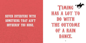 A Cowboy's Guide to Life by Texas Big Bender