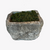 Limestone Trough #49