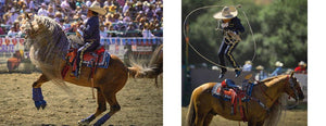Cowboys and Rodeos by Alyn Robert Brereton