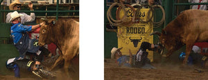 Cowboys and Rodeos by Alyn Robert Brereton