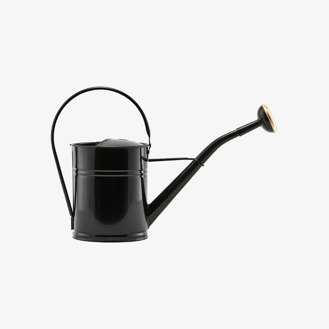 Watering Can