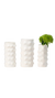 Frances Vase