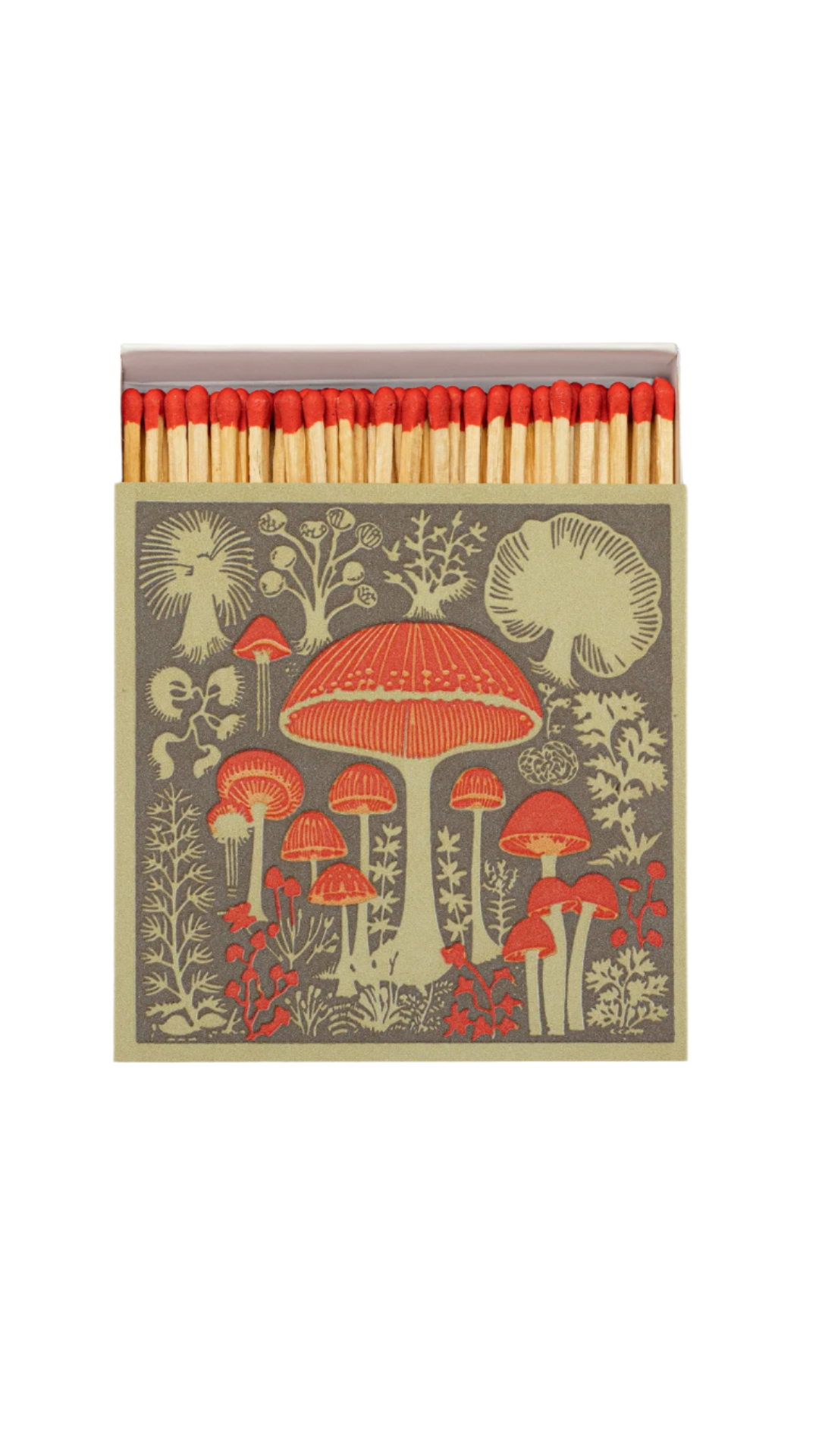 Square Mushroom Matches