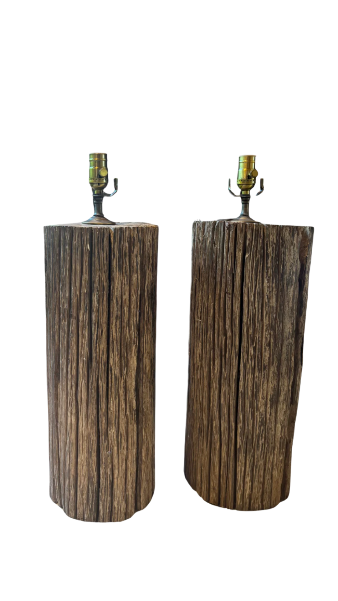 Petrified Wood Lamps from South of France