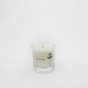 Antidris - Lime Candle